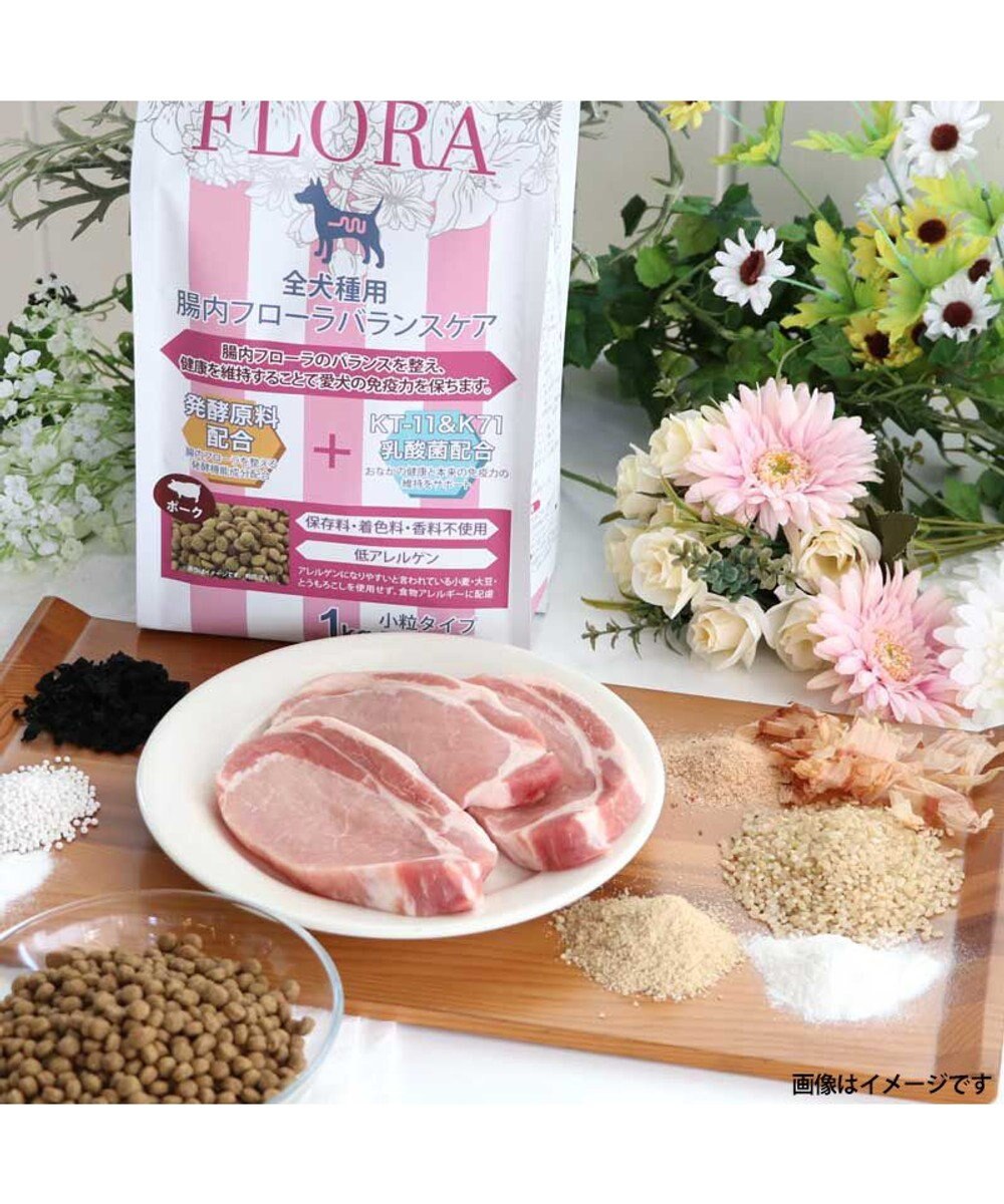 PET PARADISE ペットパラダイス 国産 ドッグフード ビオキッチン 1kg ＆ フローラ 1kg 