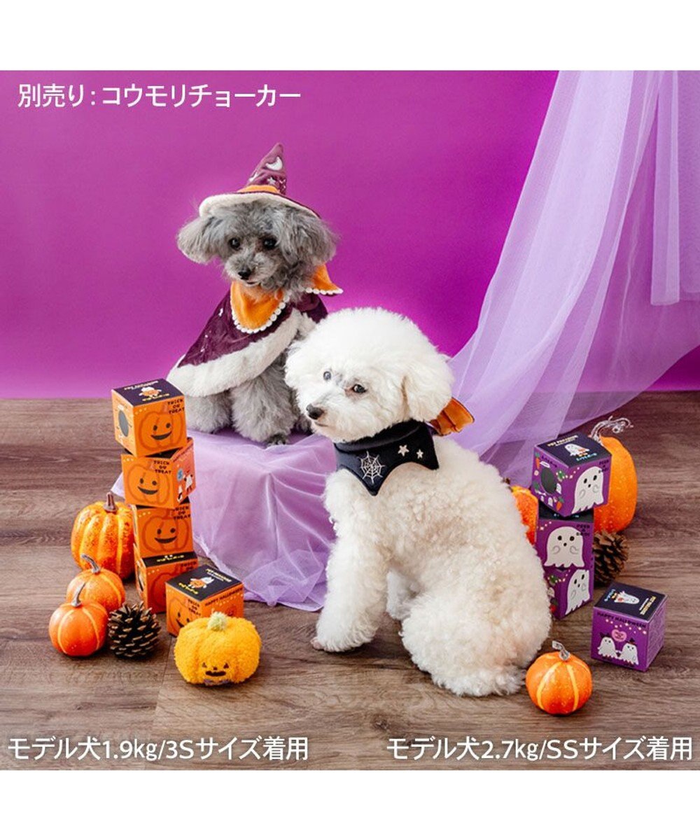 PET PARADISE ペットパラダイス 魔法つかいマント 小型犬 