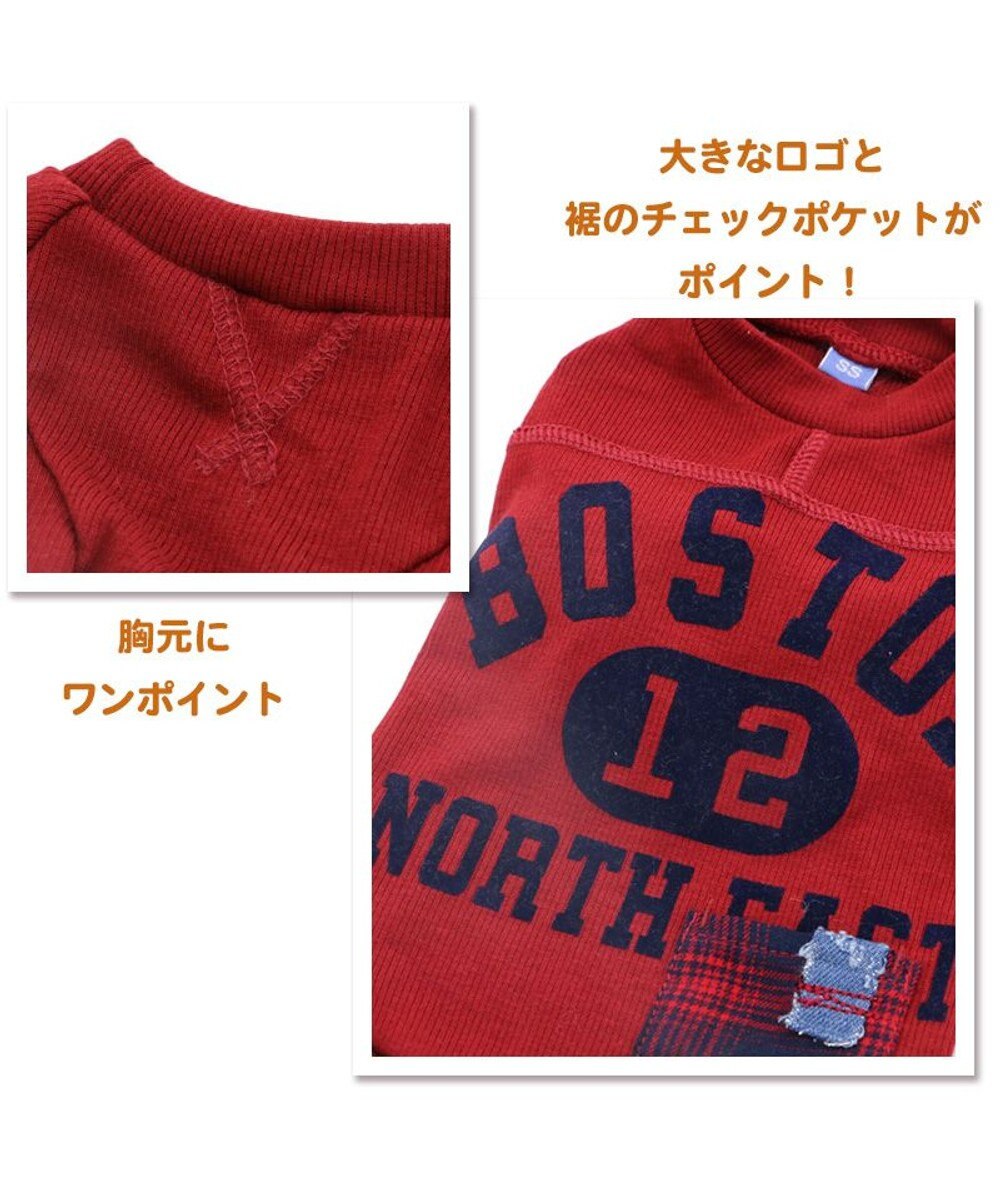 PET PARADISE 犬 服 Tシャツ 【小型犬】 プレミアム ペティーヒート カレッジ 赤 