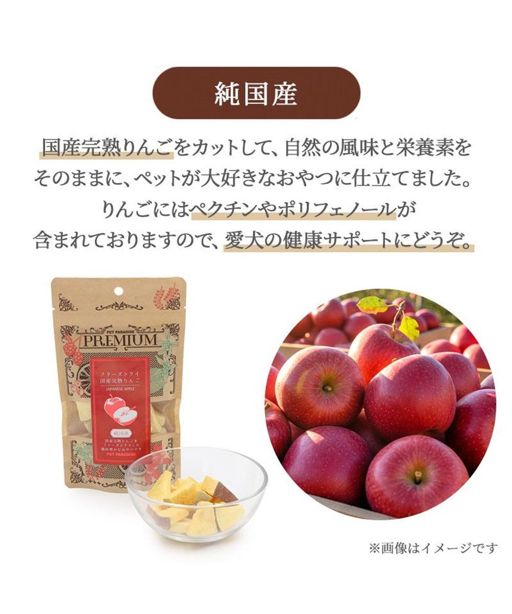 PET PARADISE フリーズドライ 国産 りんご 