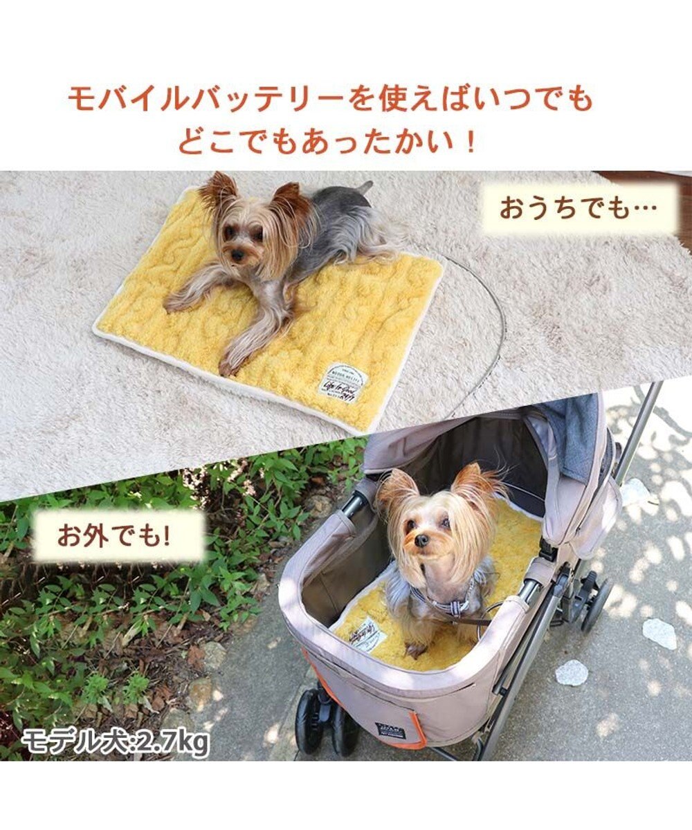 PET PARADISE ペットパラダイス USB あったかマット (55×40cm) 