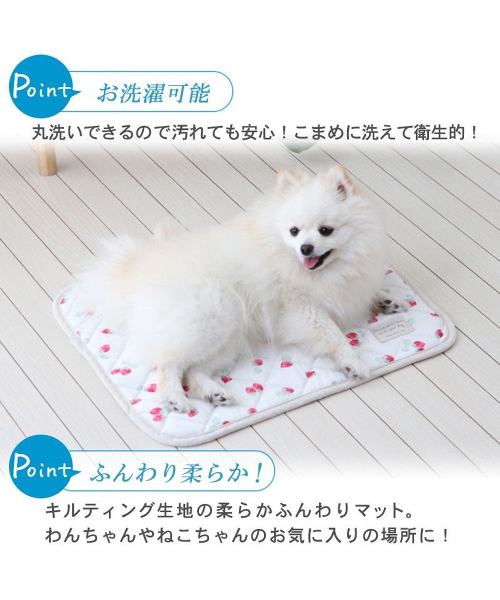 PET PARADISE 犬 クール マット 冷感 柔らか クールマット (48×40cm) 苺 くまちゃん ネイティブ 接触冷感 ひんやり ペット 
