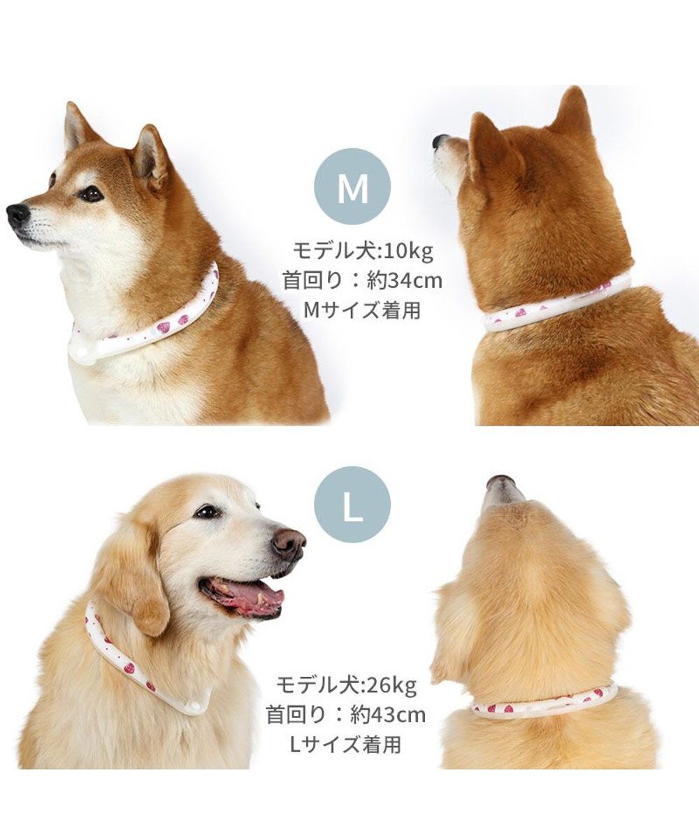 PET PARADISE ペットパラダイス 28℃クールリング 《いちご》 Ｍ 大型犬 