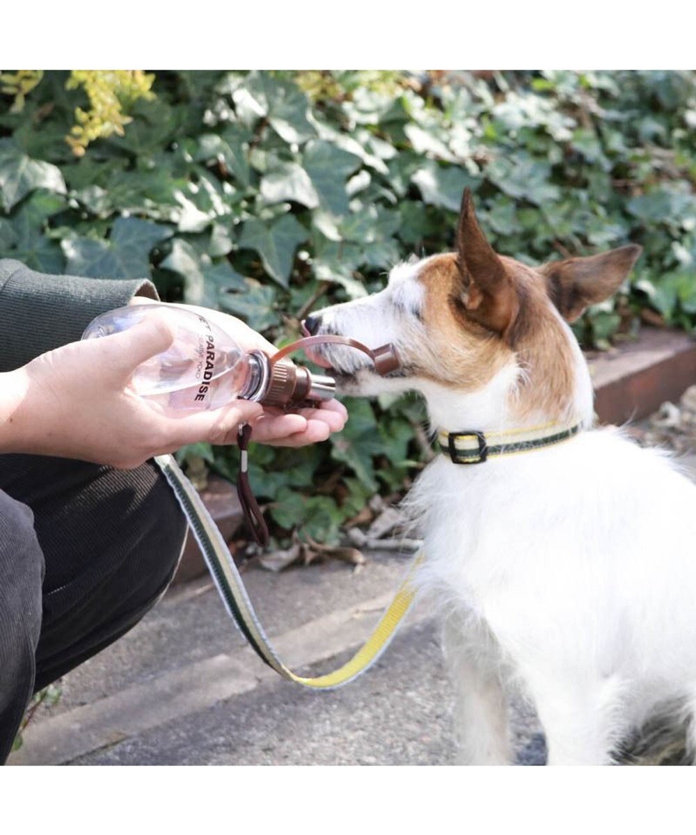 PET PARADISE 犬用品 ペットグッズ お散歩  お水携帯ボトル（茶）220ｍＬ 