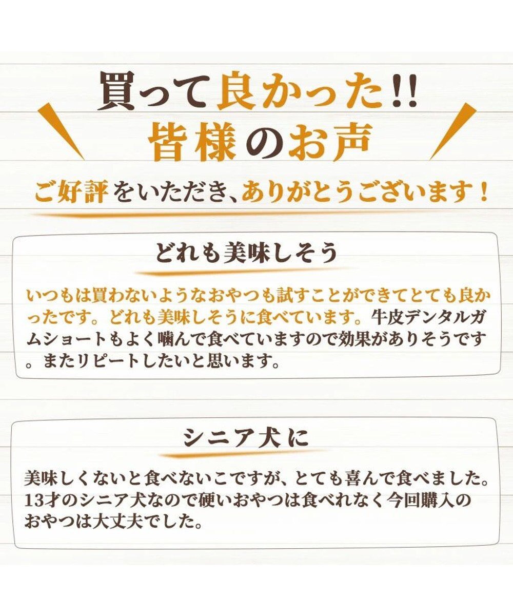 PET PARADISE ペットパラダイス 犬 おやつ デリスタイル8種類 肉系セット（ジビエ含む） 
