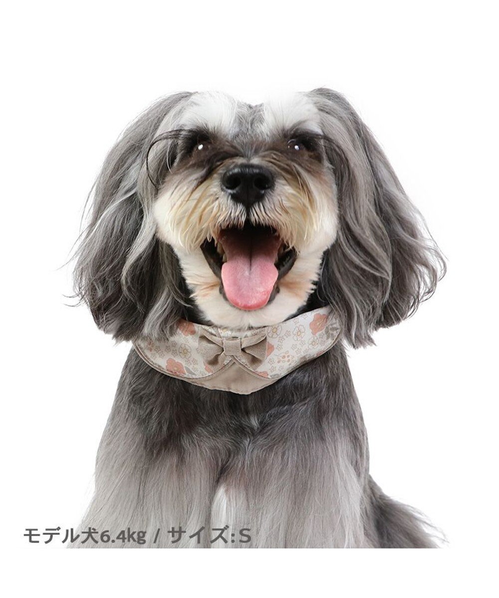 PET PARADISE 花柄 襟付首輪 【３Ｓ】 小型犬 