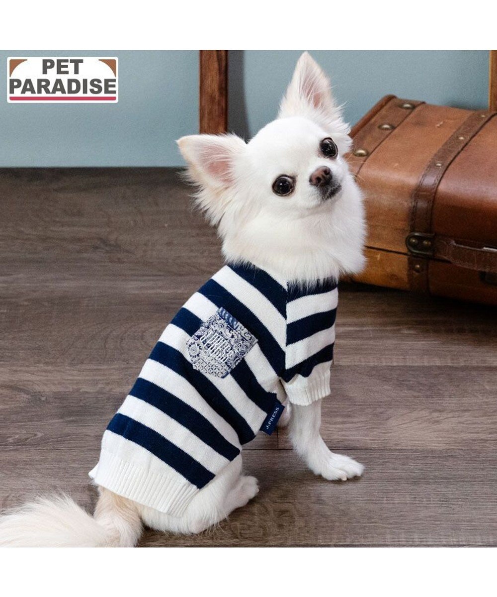 PET PARADISE J.PRESS ボーダー綿ニット 小型犬 