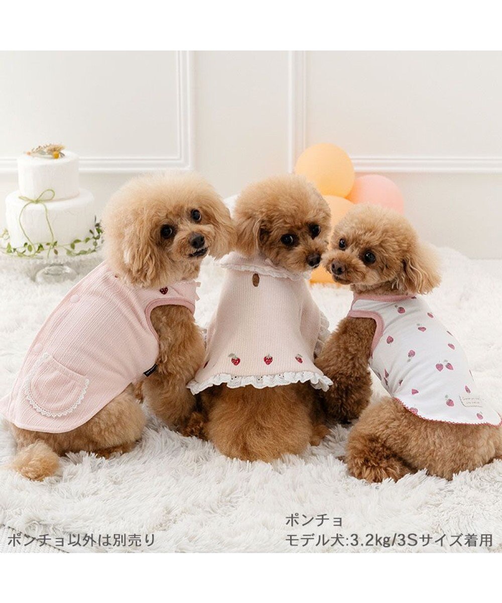 PET PARADISE ペットパラダイス お手軽 ポンチョ 《いちご》 小型犬 