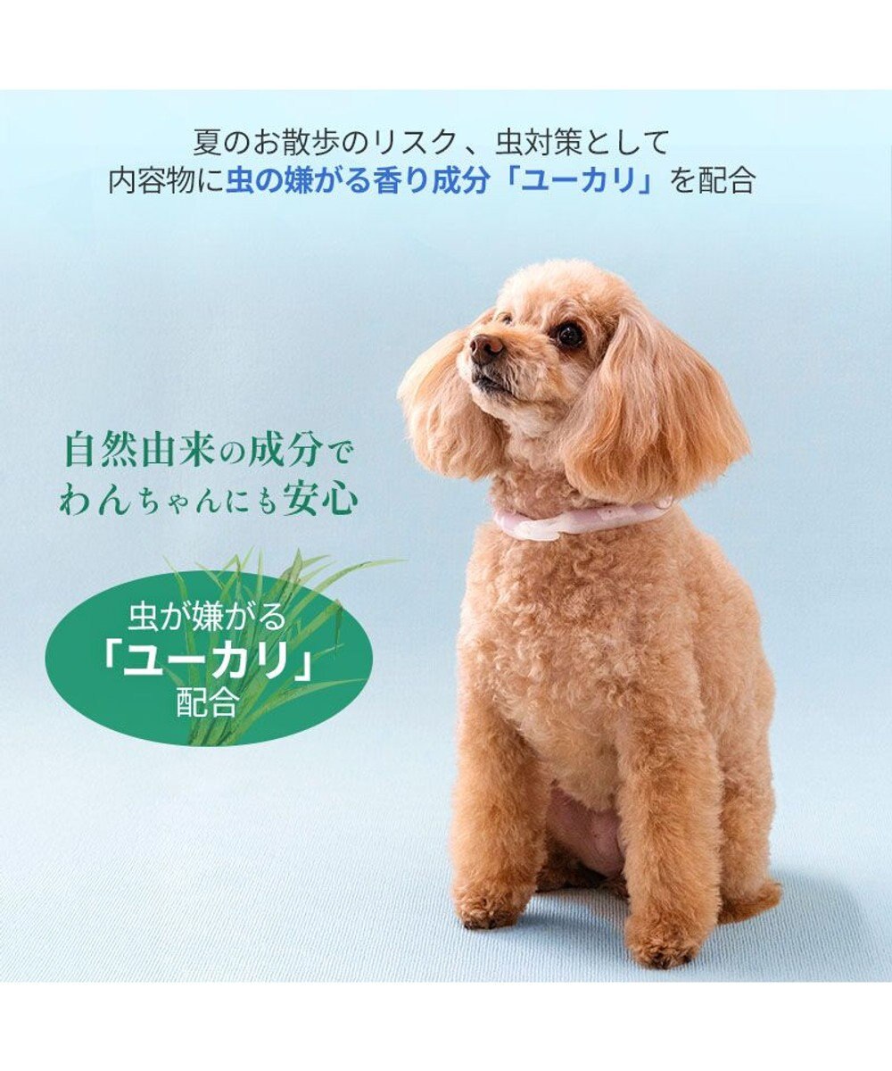 PET PARADISE ペットパラダイス 28℃クールリング  《くま》 Ｌ 大型犬 