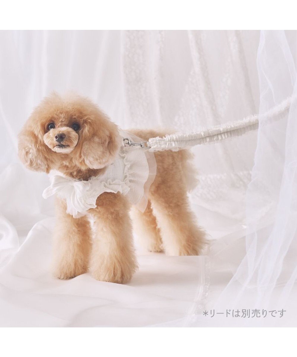 PET PARADISE cherircouture フリフリハーネス 《ホワイト》 小型犬 Ｓ 