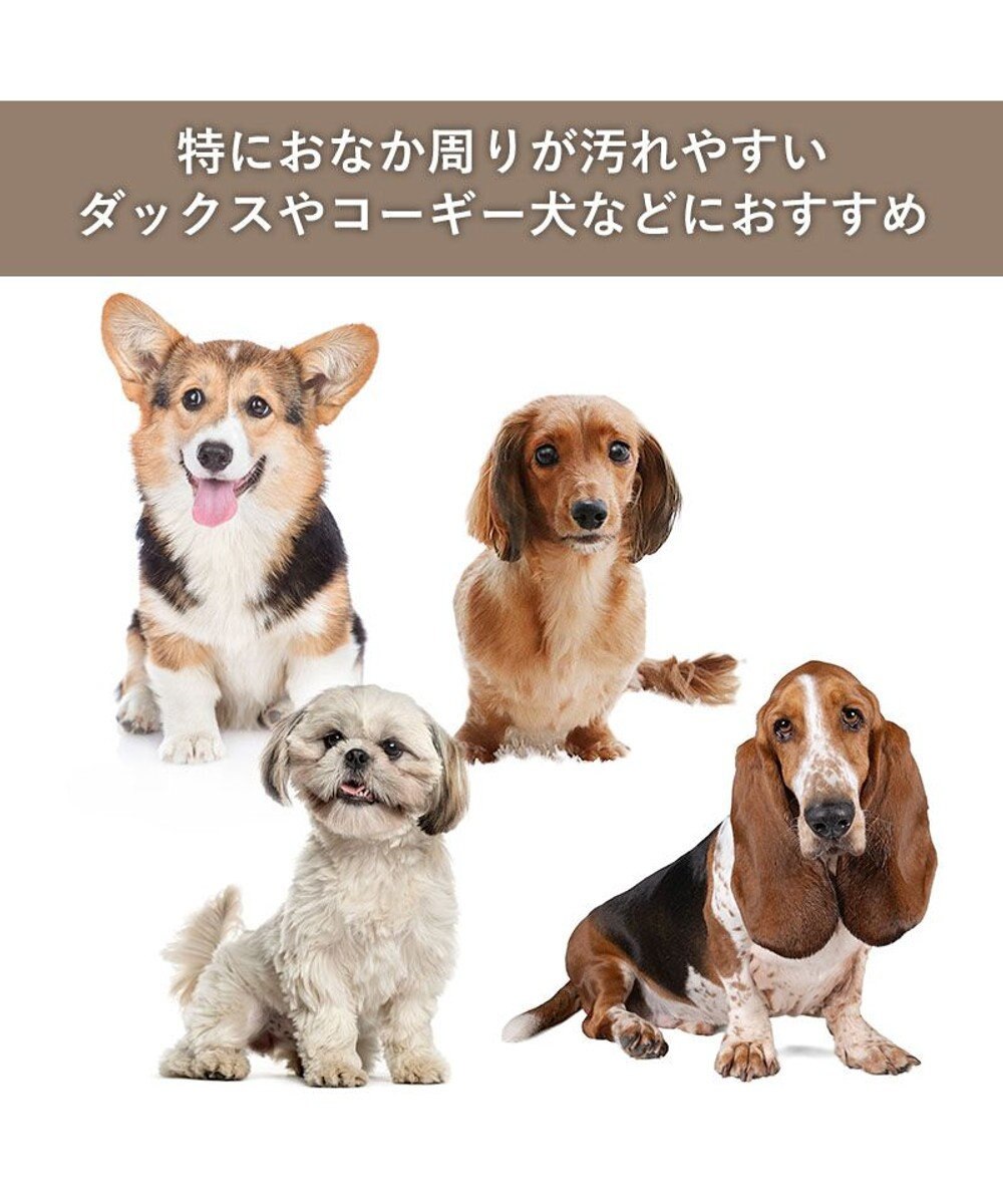 PET PARADISE スヌーピー レイン エプロン 中型犬 大型犬 