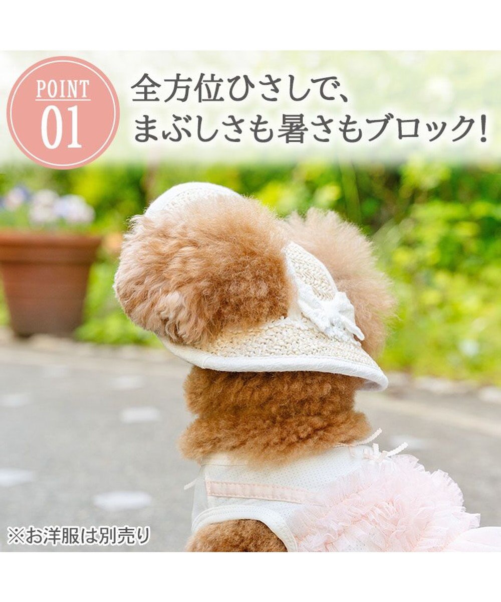 PET PARADISE ペットパラダイス レース クール ハット ４Ｓ～３Ｓ/ＳＳ～Ｓ 小型犬 