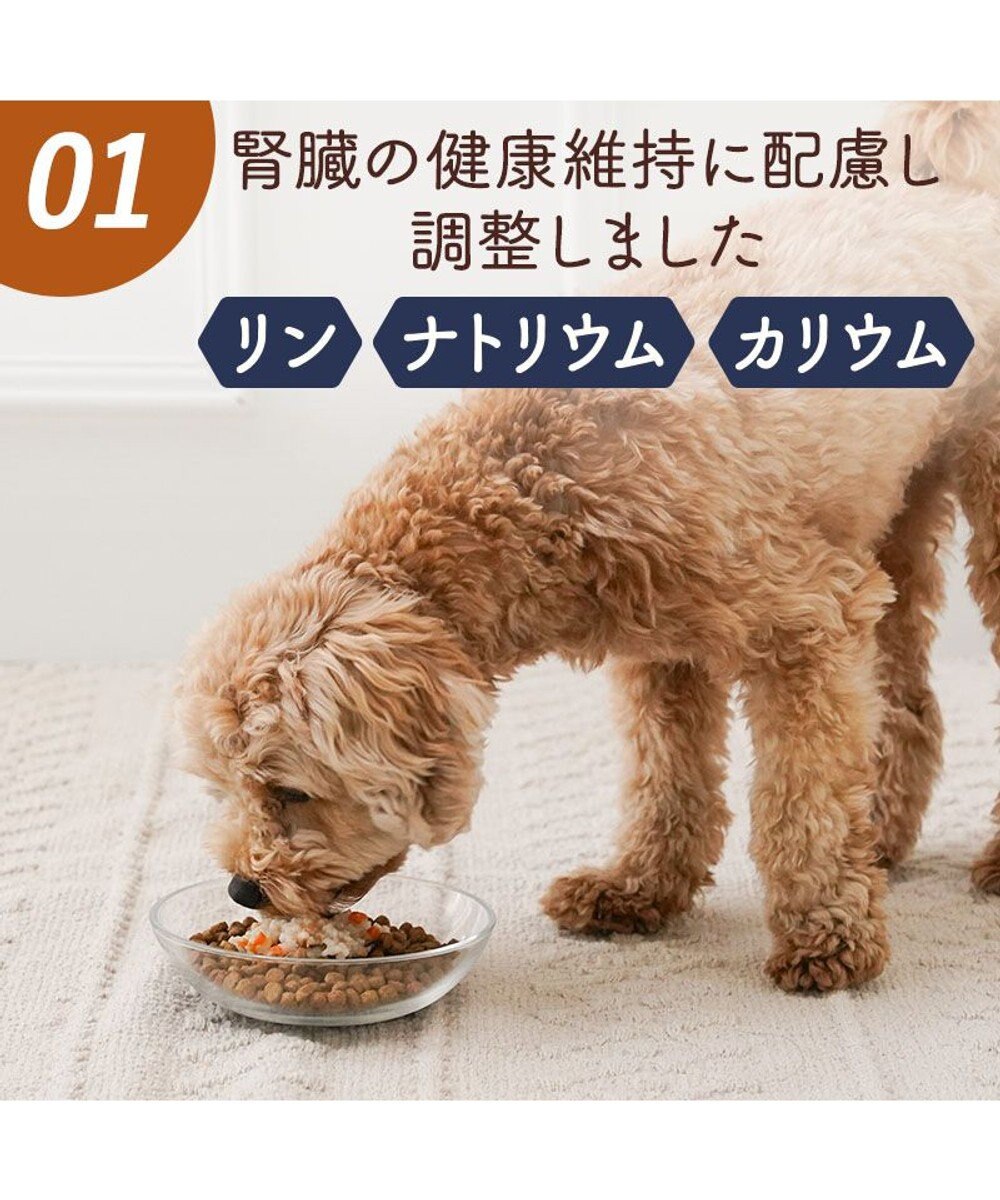 PET PARADISE 愛犬にやさしい スープごはん 鮭 