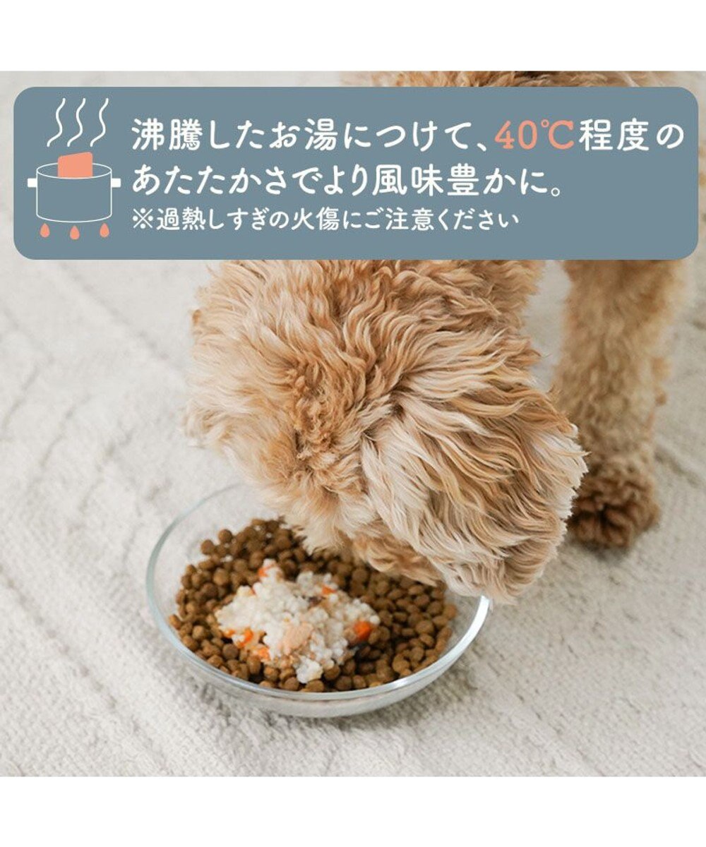 PET PARADISE 愛犬にやさしい スープごはん 鮭 