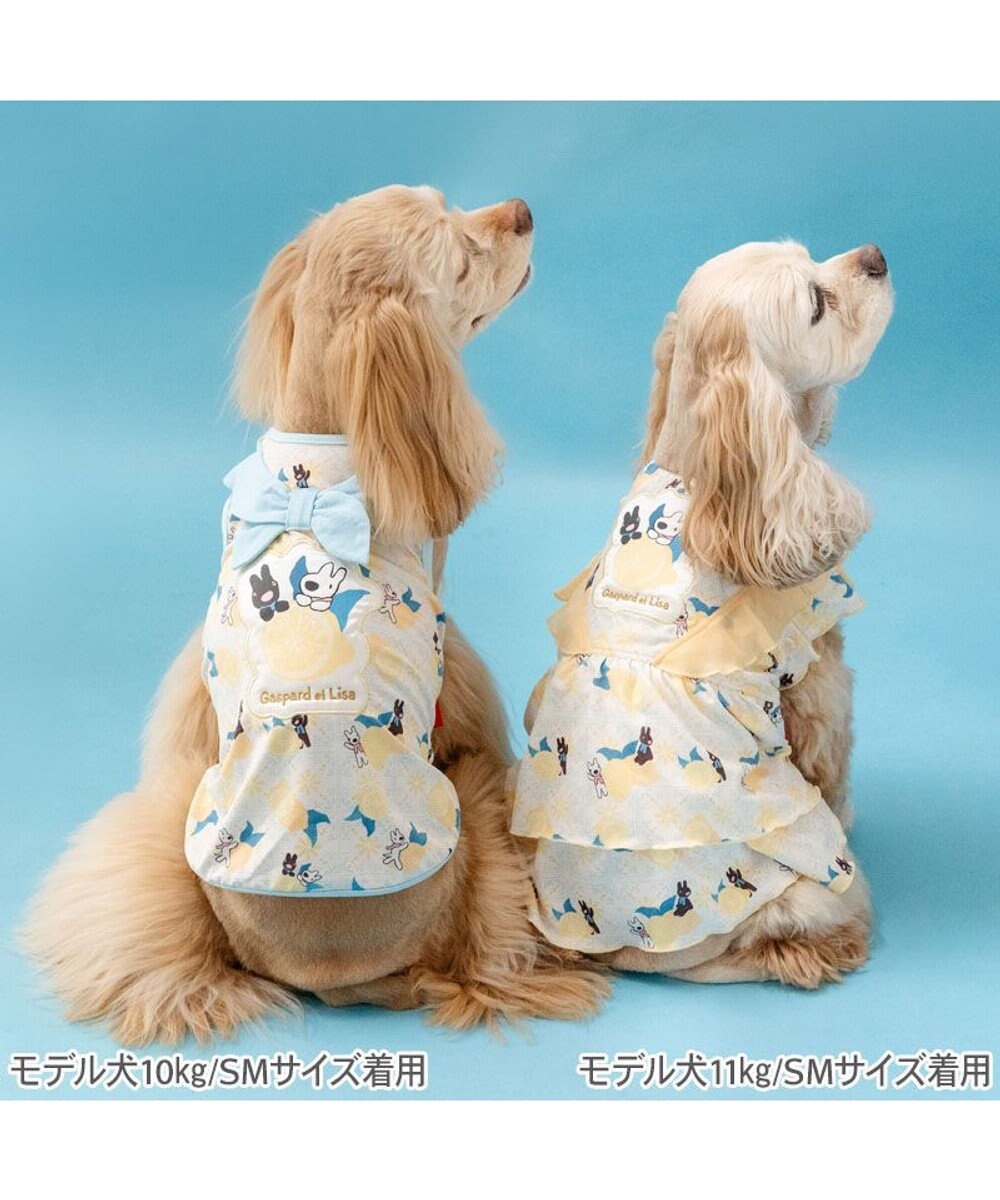 PET PARADISE リサとガスパール エコメイド シトラス タンクトップ 中型犬 大型犬 