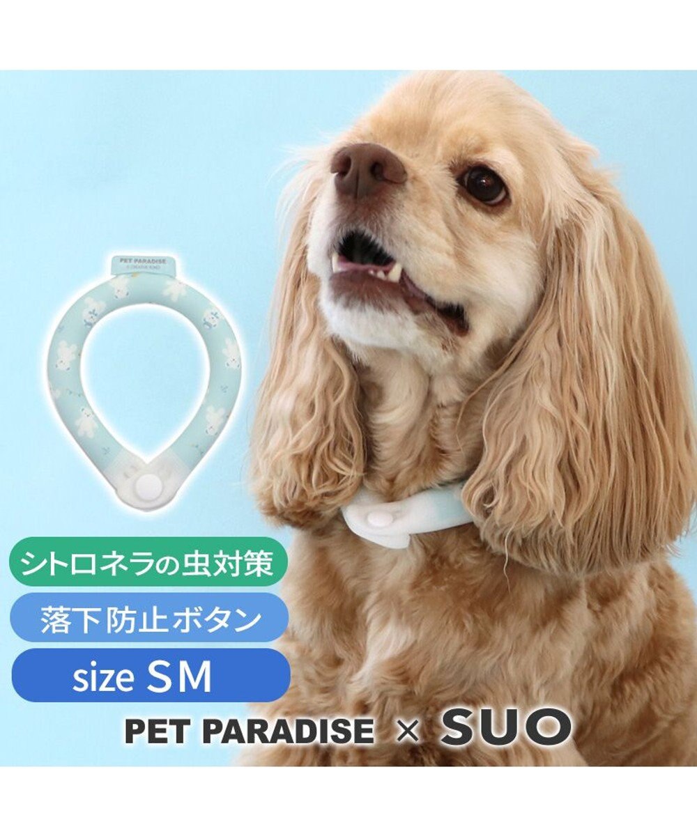PET PARADISE ペットパラダイス 28℃クールリング SUO 《くま柄》 〔ＳＭ〕 中型犬 