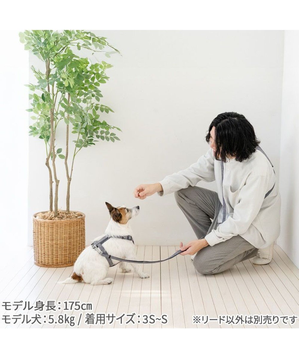 PET PARADISE ペットパラダイス ショルダーリード SS～Ｓ 小型犬 