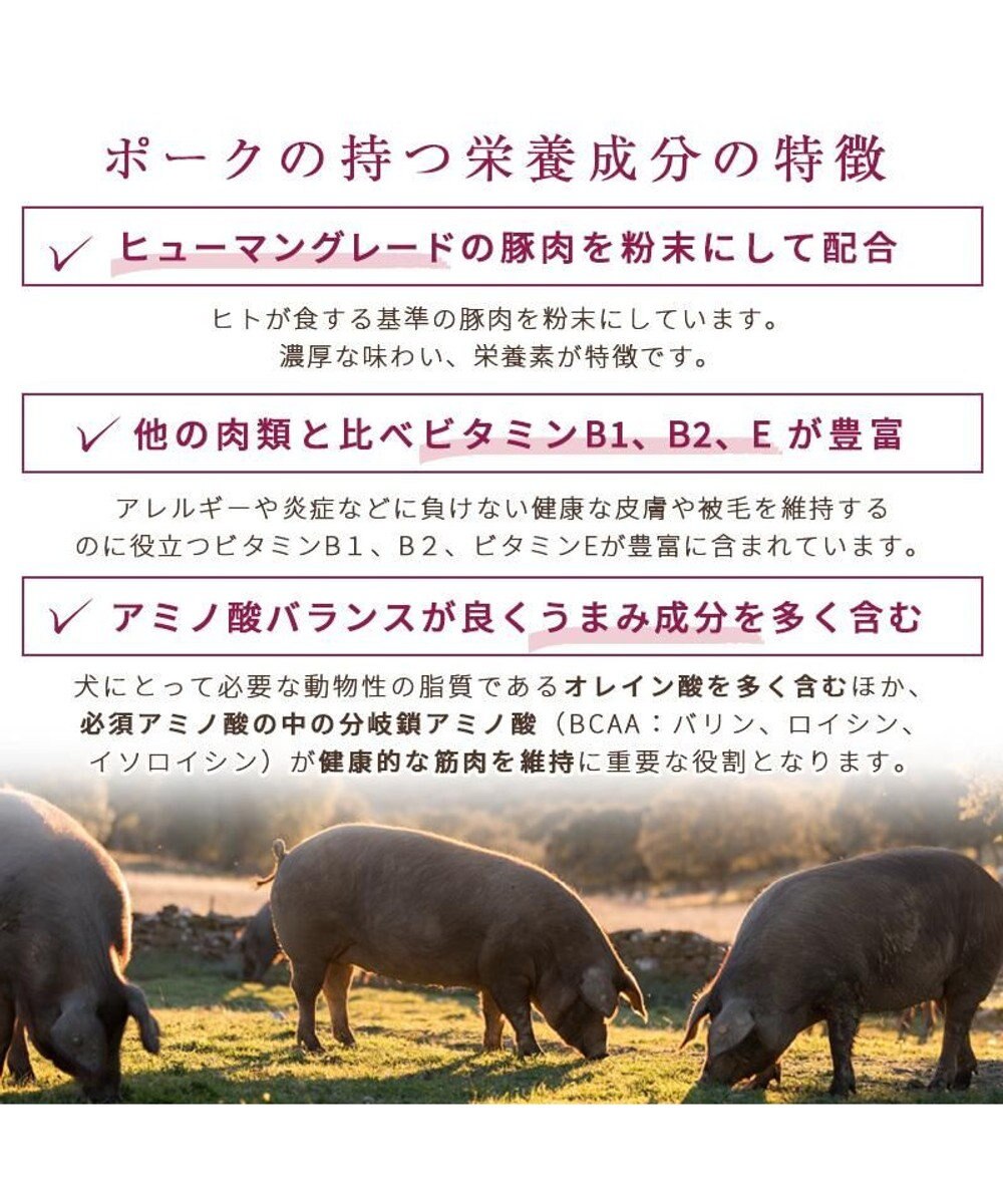 PET PARADISE  ペットパラダイス ドッグフード フローラ3kg 国産 