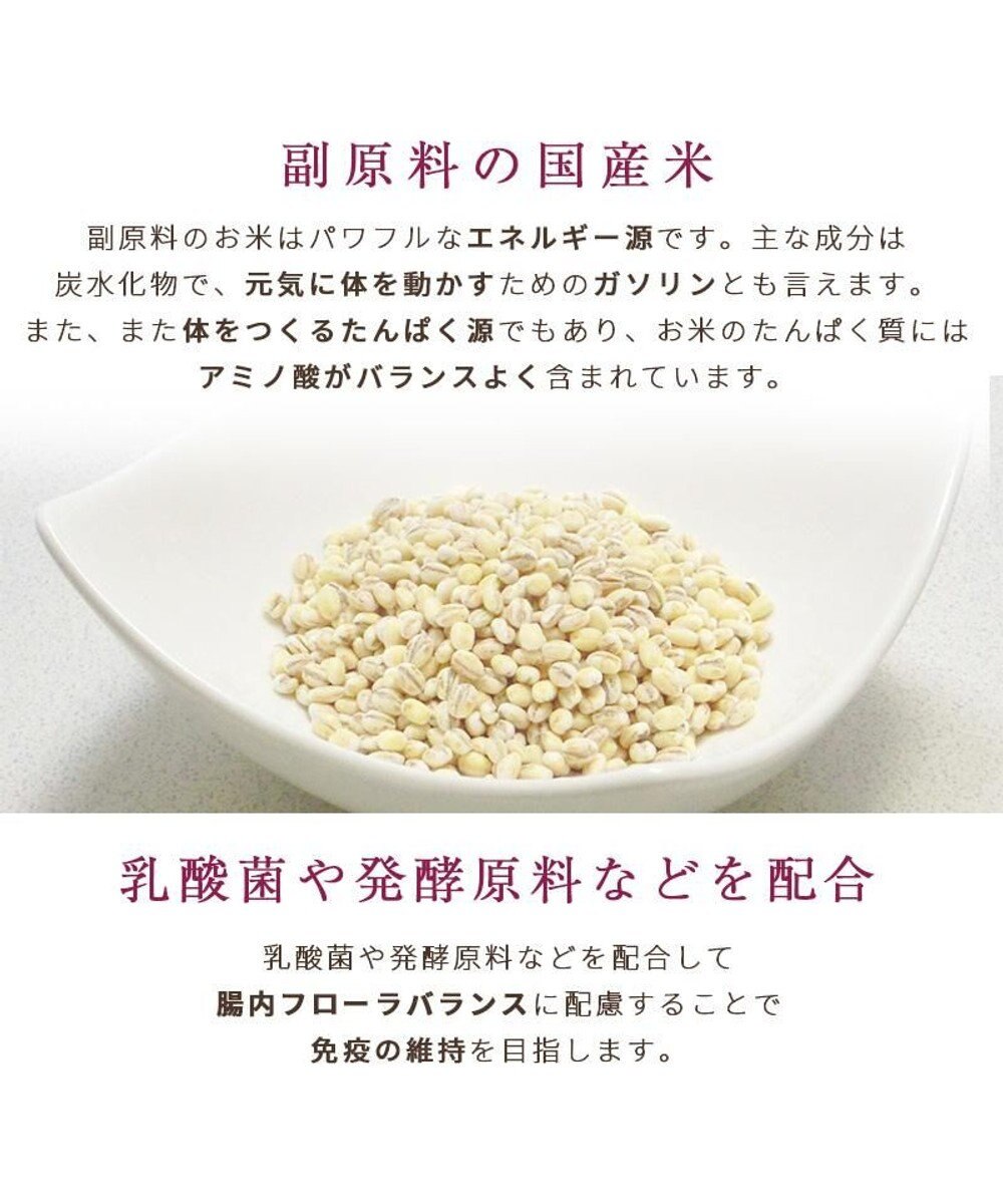 PET PARADISE  ペットパラダイス ドッグフード フローラ3kg 国産 