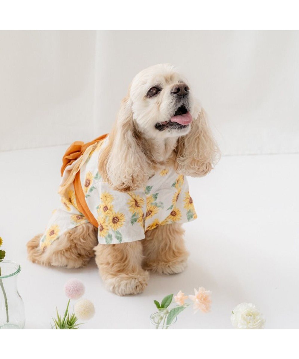 PET PARADISE ペットパラダイス ひまわり柄 浴衣 中型犬 大型犬 