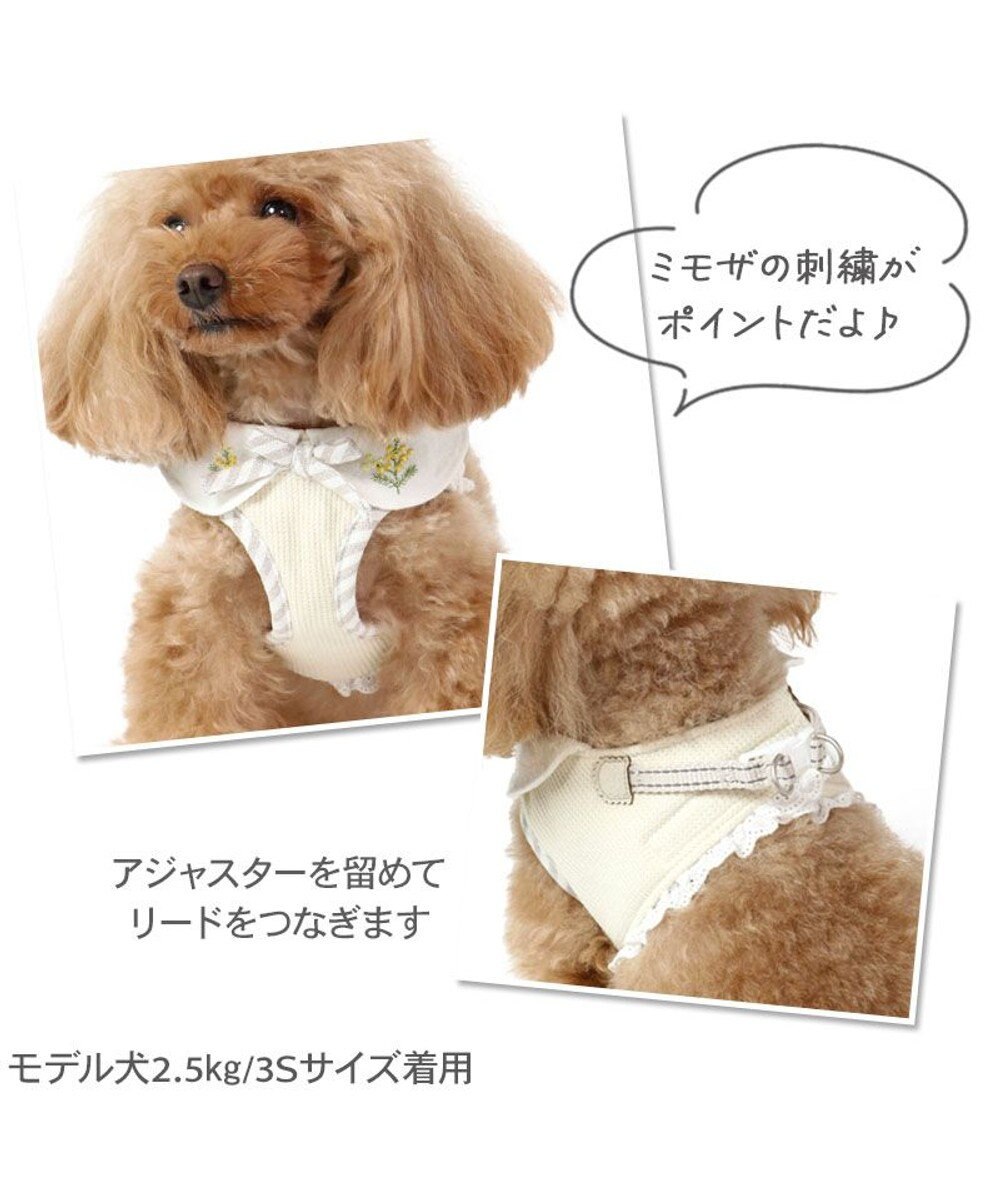 PET PARADISE ペットパラダイス ベストハーネス  ミモザ【ＳＳ】 小型犬 