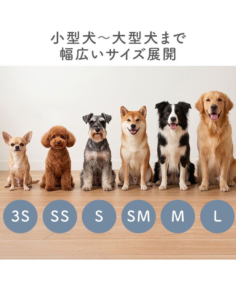 PET PARADISE ペットパラダイス くまちゃん スリットシューズ ＳＳ 