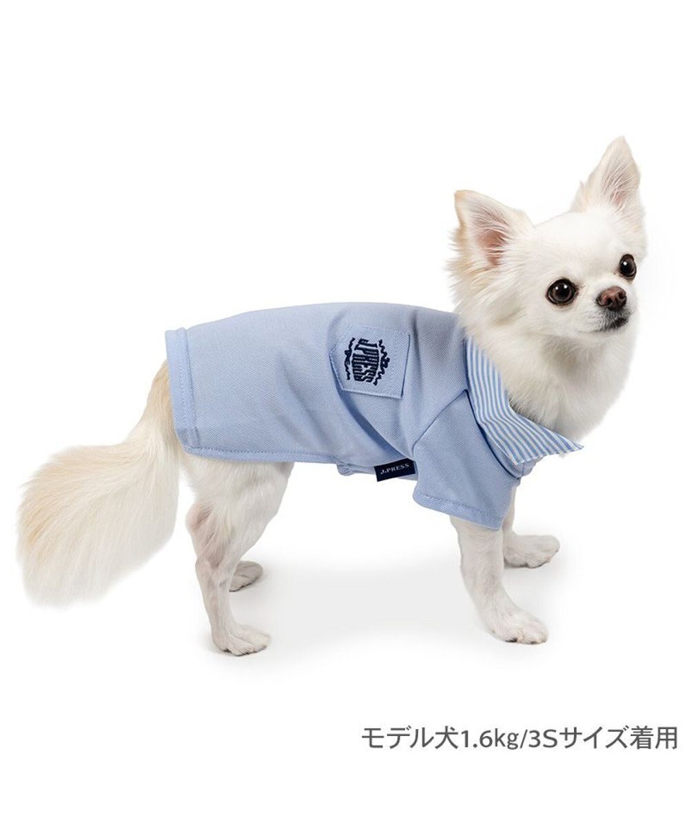 PET PARADISE J.PRESS カノコ スキッパー ポロシャツ 小型犬 