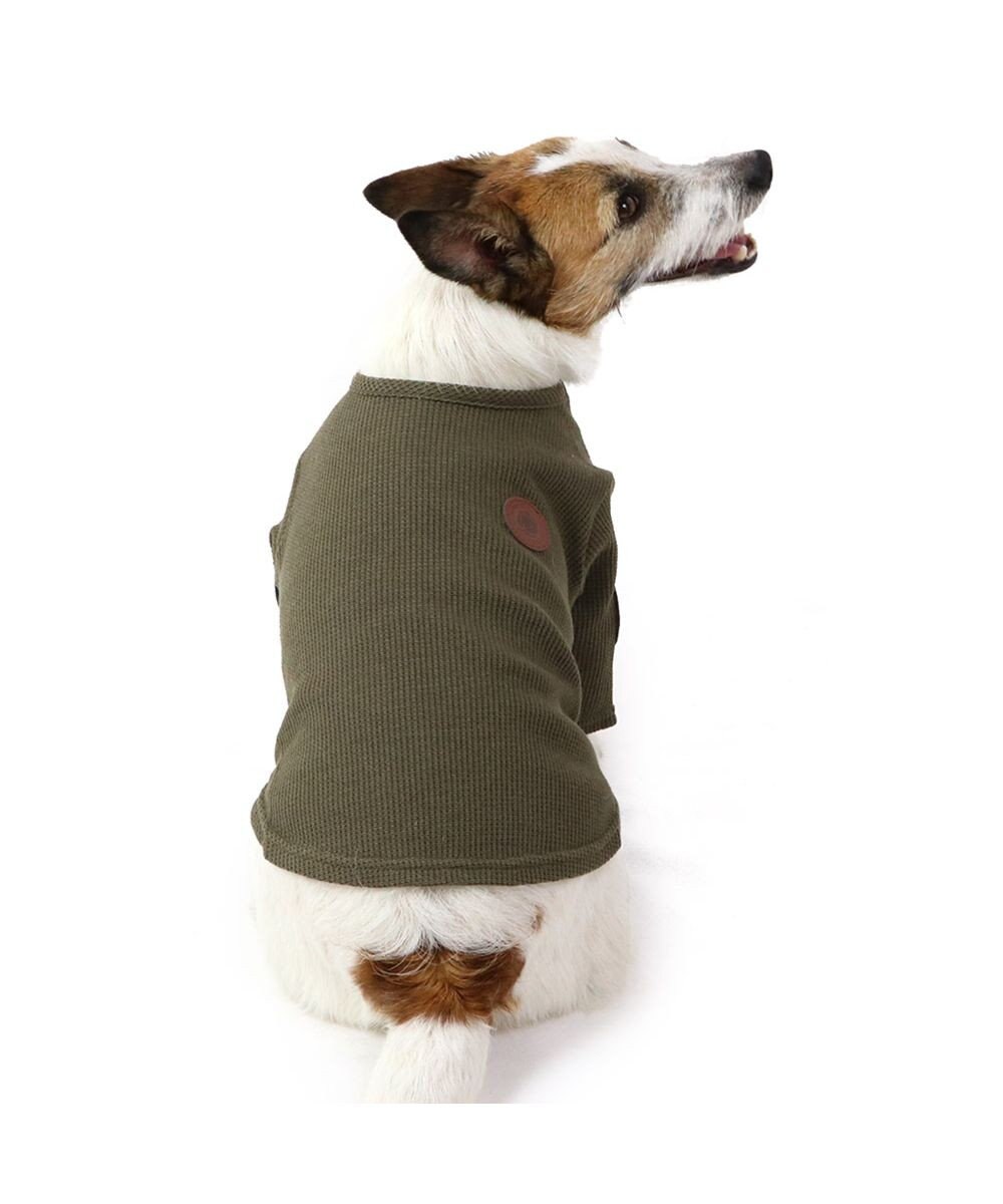 PET PARADISE J.PRESS ワッフル Tシャツ 【小型犬】 