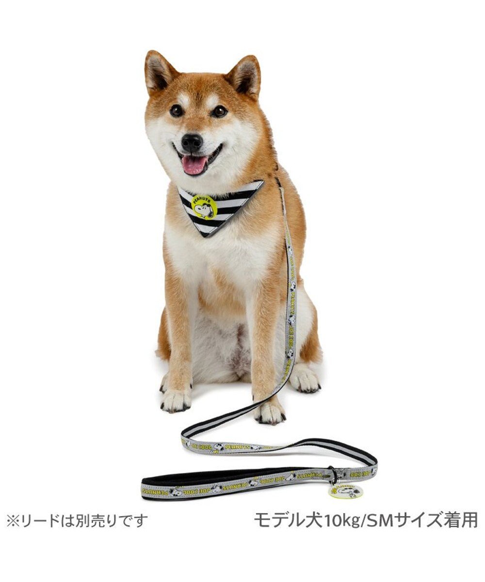 PET PARADISE スヌーピー ＪOE COOL 反射首輪 リバーシブル仕様  ＳＭ 