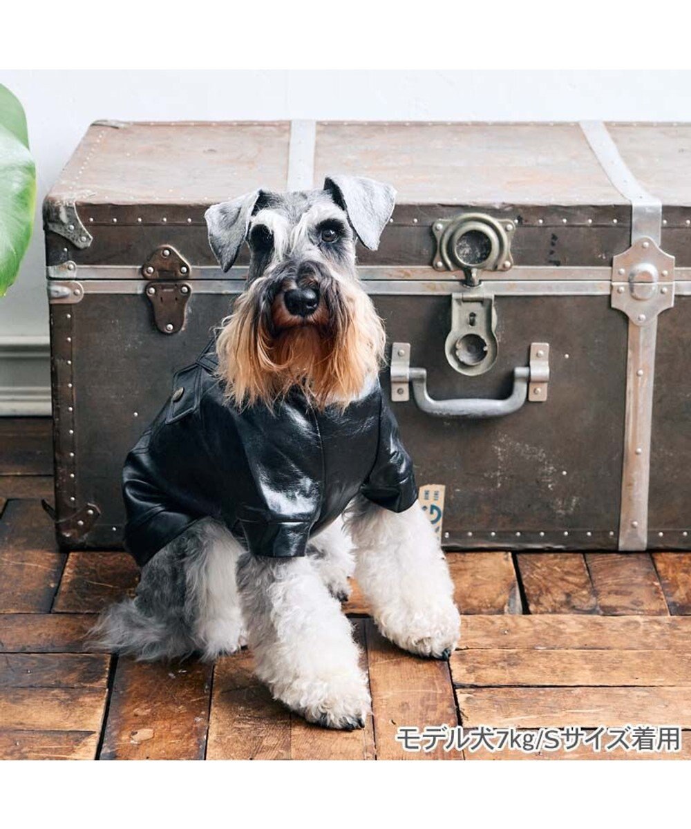 PET PARADISE Lee ＰＵ ライダース ジャケット 小型犬 