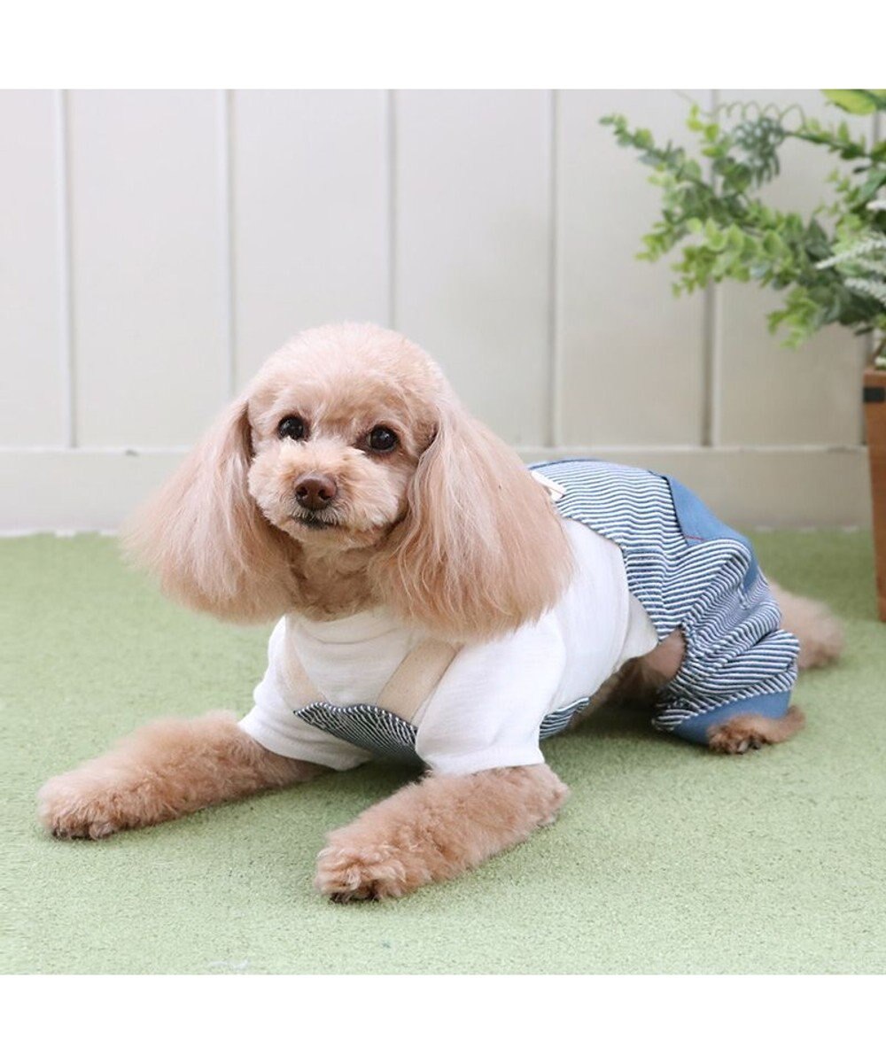 PET PARADISE ペットパラダイス パンツつなぎ 《ヒッコリー風》 小型犬 