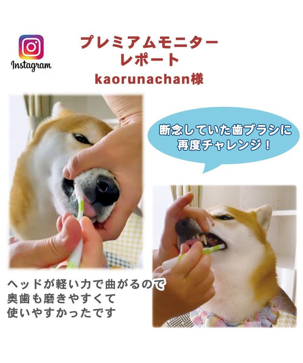 PET PARADISE 【ネット店限定】ペット用品  曲がる 歯ブラシ ２本セット  全犬種対応 