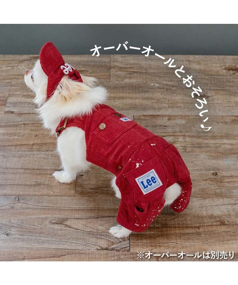 PET PARADISE Lee コーデュロイ キャップ ４Ｓ～３Ｓ/ＳＳ～Ｓ 