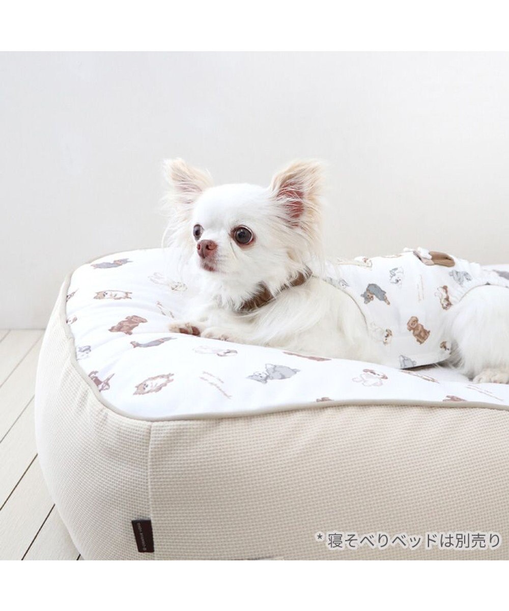 PET PARADISE ペットパラダイス makokoro マナーオール 《わんちゃん柄》 小型犬 