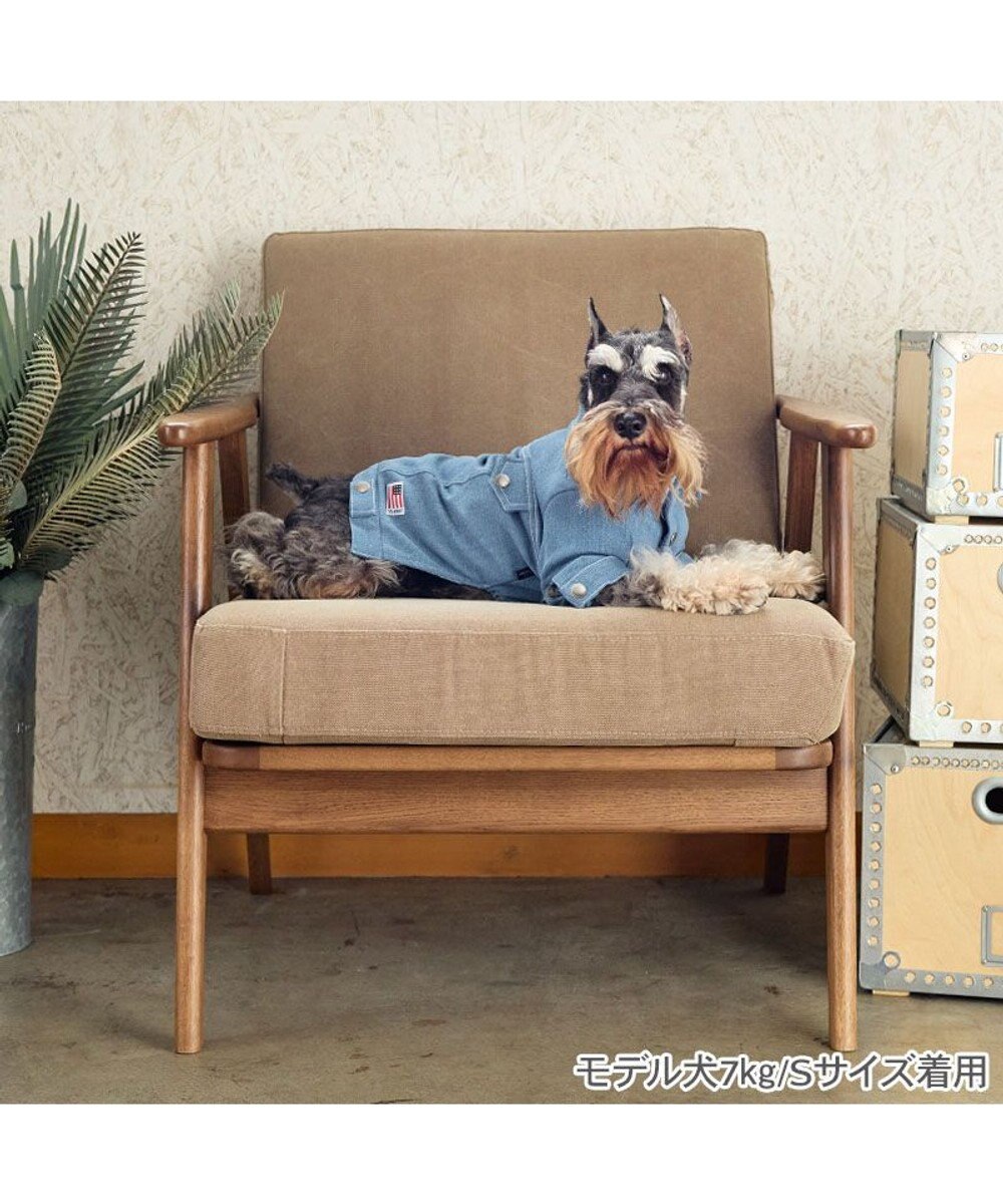 PET PARADISE J.PRESS デニムジャケット 春 小型犬 