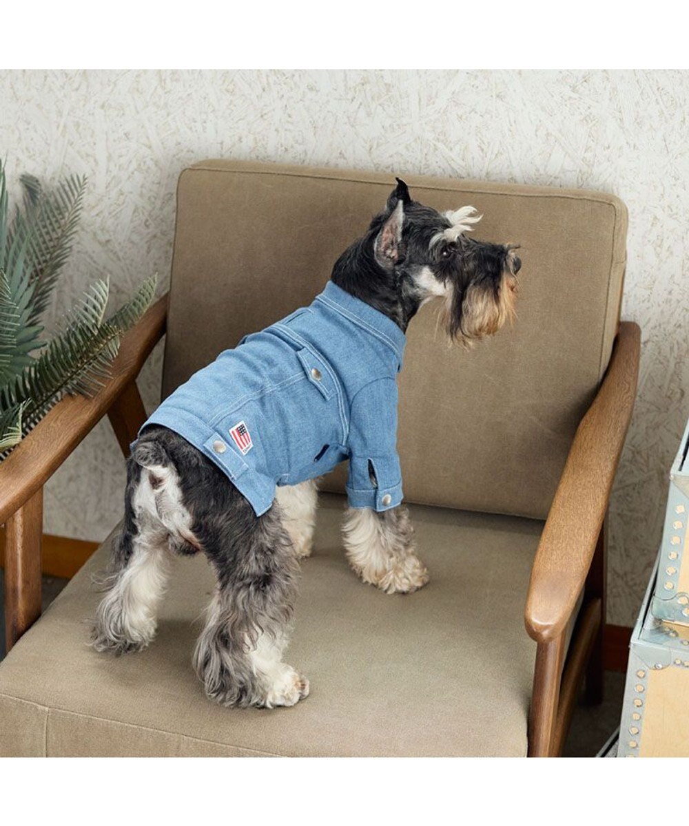 PET PARADISE J.PRESS デニムジャケット 春 小型犬 