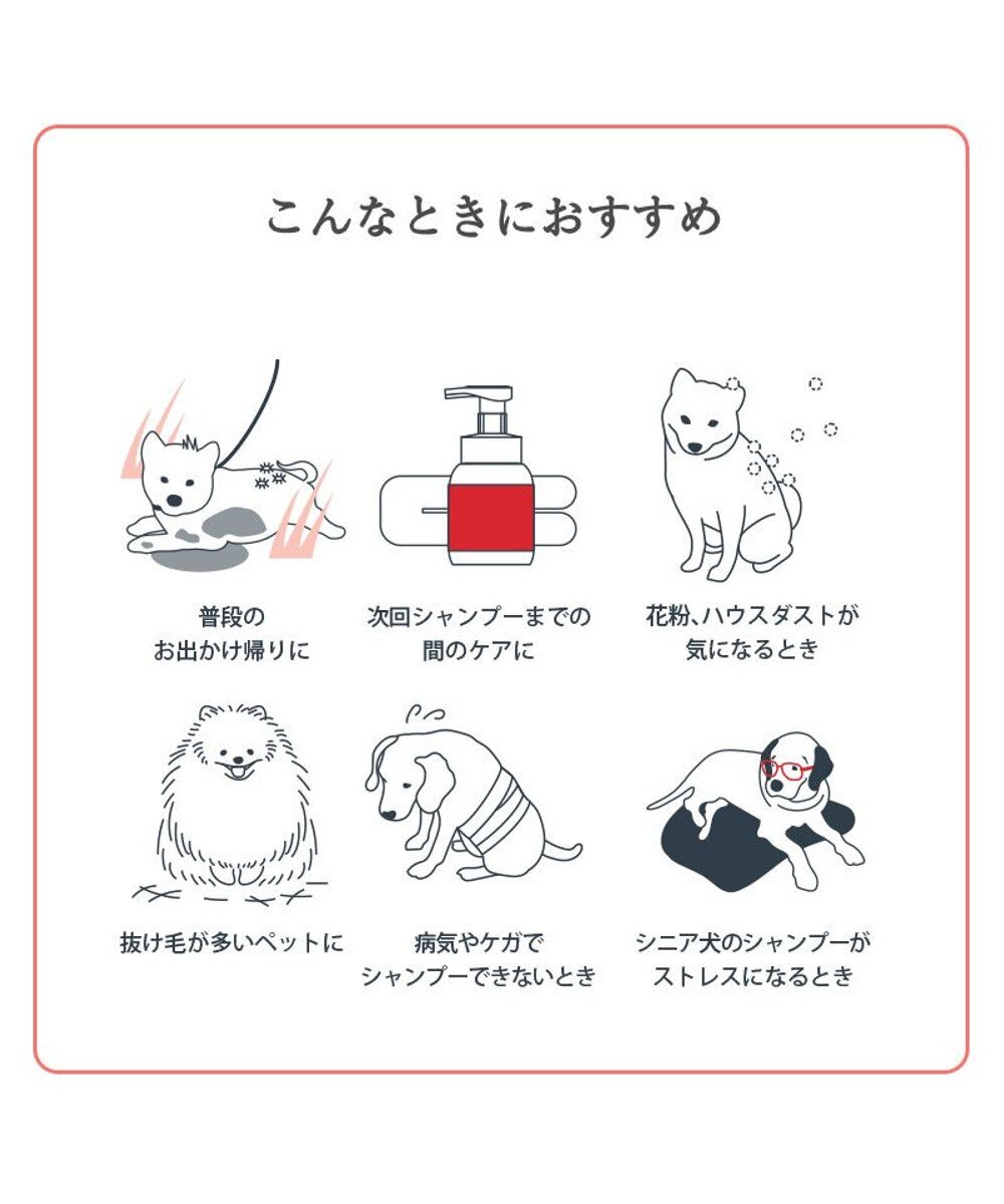 PET PARADISE ペットパラダイス シャンプータオル ボディケアシート 【全犬種用】 10枚入り 