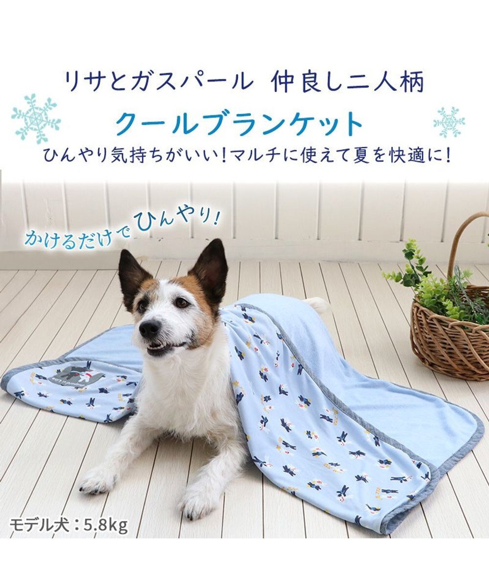 PET PARADISE リサとガスパール クールブランケット (90×60cm) 