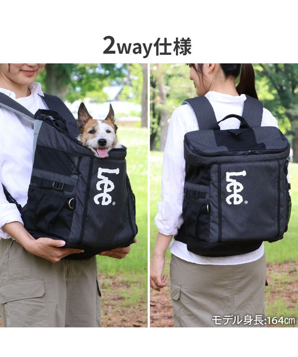 PET PARADISE Lee スクエアリュック キャリーバッグ 《ブラック》 小型犬 