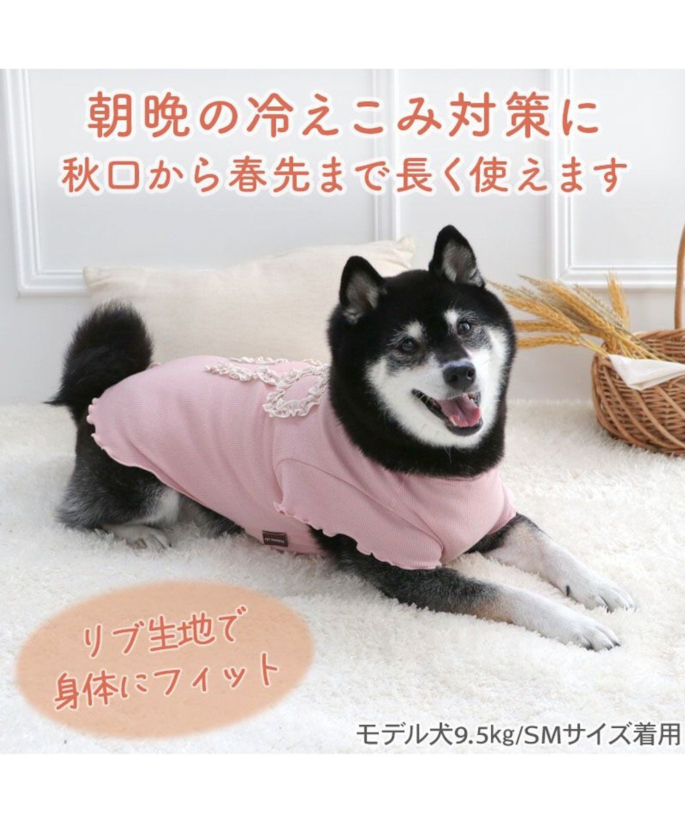 PET PARADISE ペットパラダイス リボン プレミアム ペティヒート Ｔシャツ 中型犬 