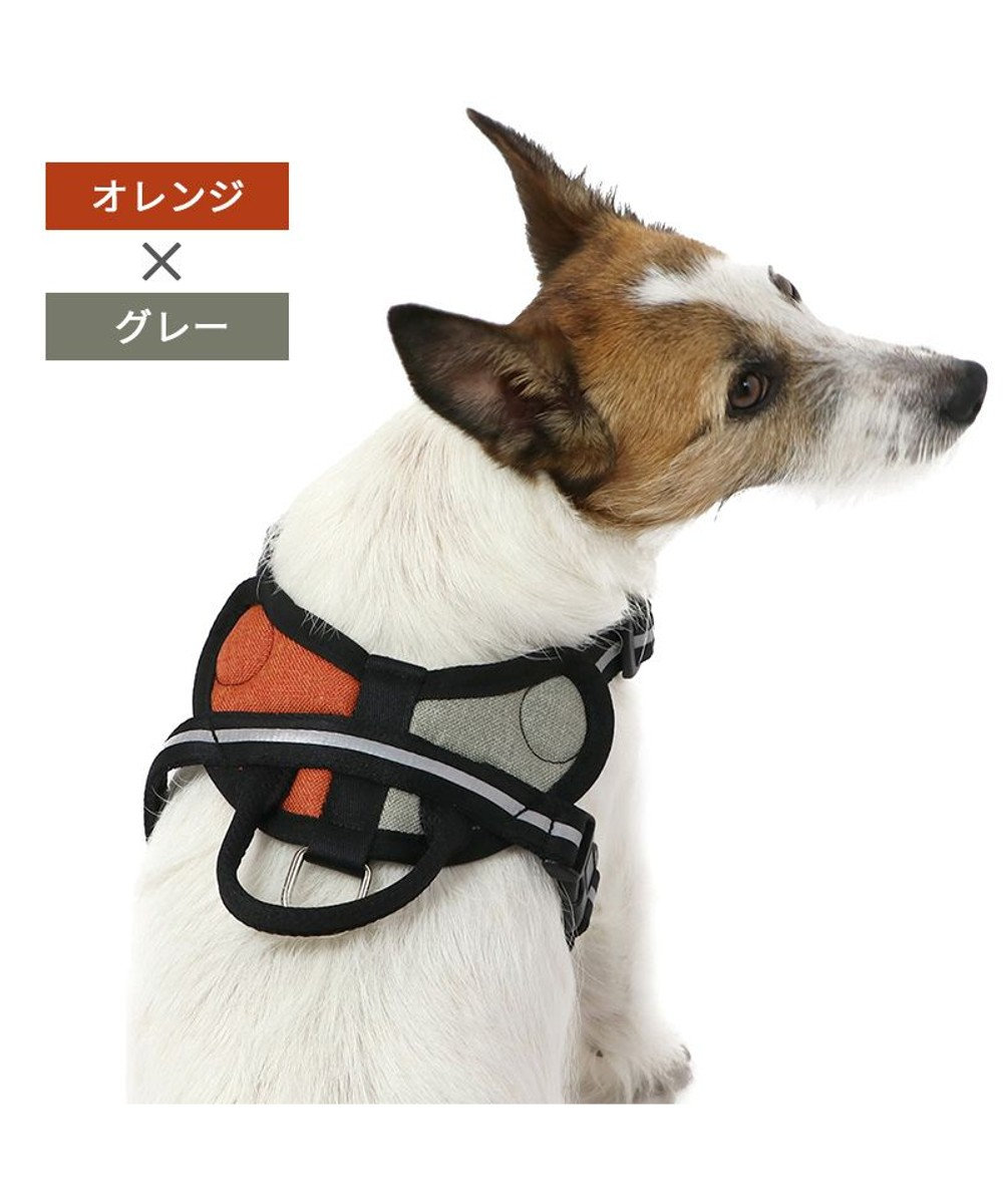 PET PARADISE ヘッドインハーネス 【ＳＳ】 オレンジ / ブルー 【小型犬】 