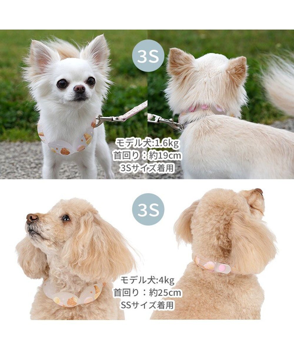 PET PARADISE ペットパラダイス １８℃ クールリング Ｓ 《アイス柄》 