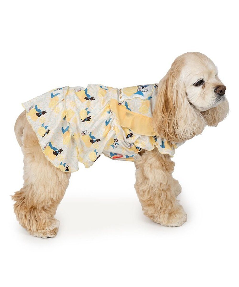 PET PARADISE リサとガスパール エコメイド シトラス ワンピース 中型犬 