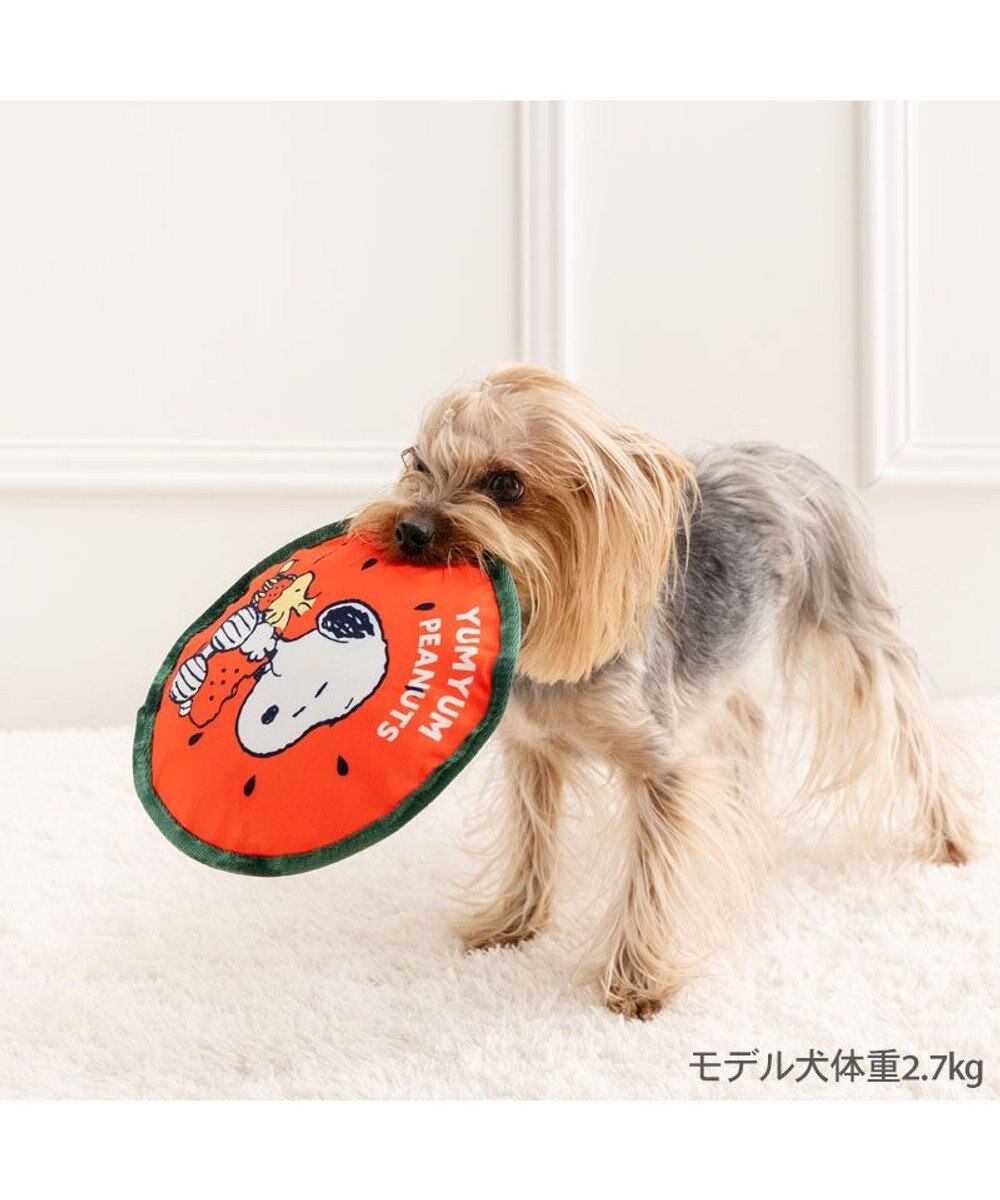 PET PARADISE スヌーピー  スイカ フロートトイ 