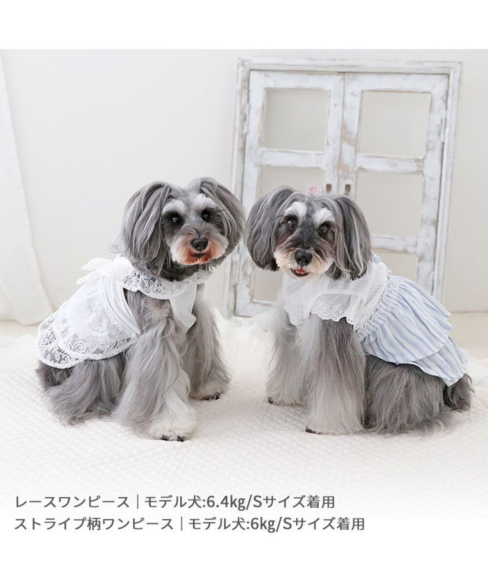 PET PARADISE ペットパラダイス ストライプ ワンピース 小型犬 