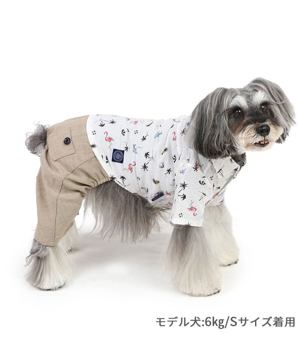 PET PARADISE J.PRESS リップル パンツつなぎ 小型犬 