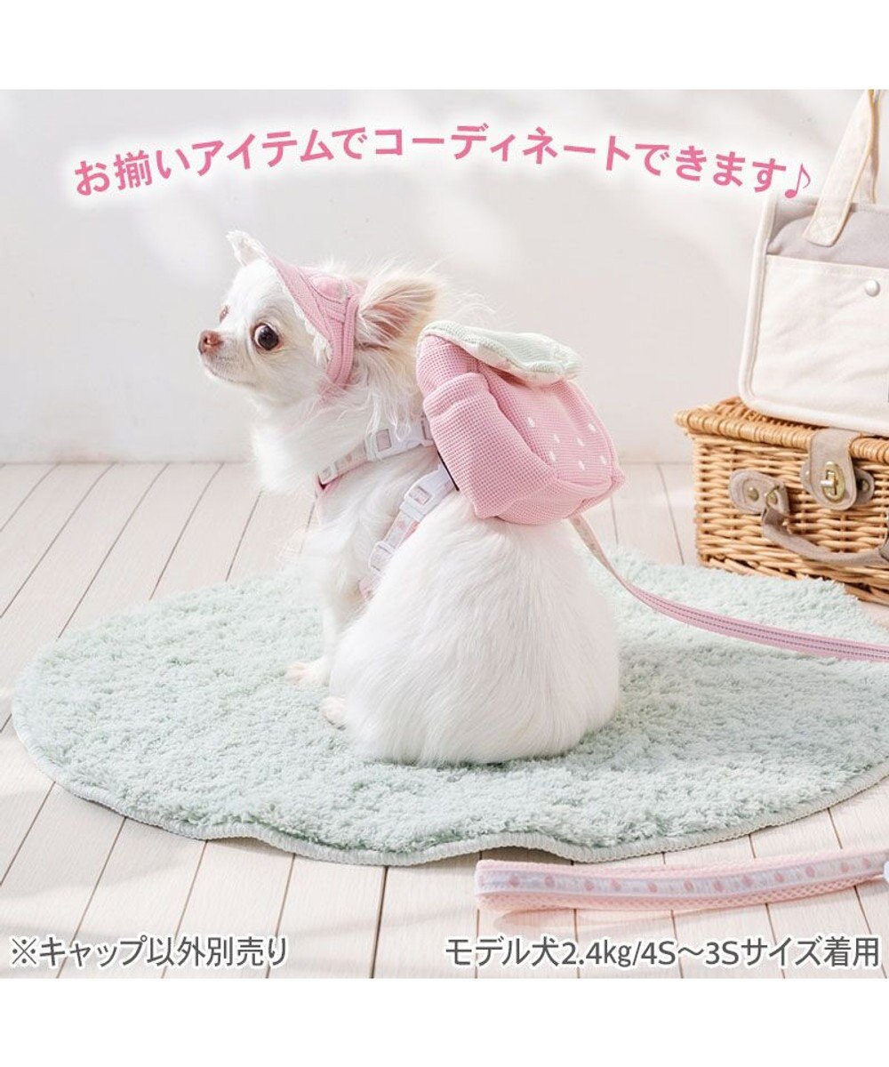 PET PARADISE ペットパラダイス 苺 帽子 ４Ｓ～３Ｓ/ＳＳ～Ｓ 