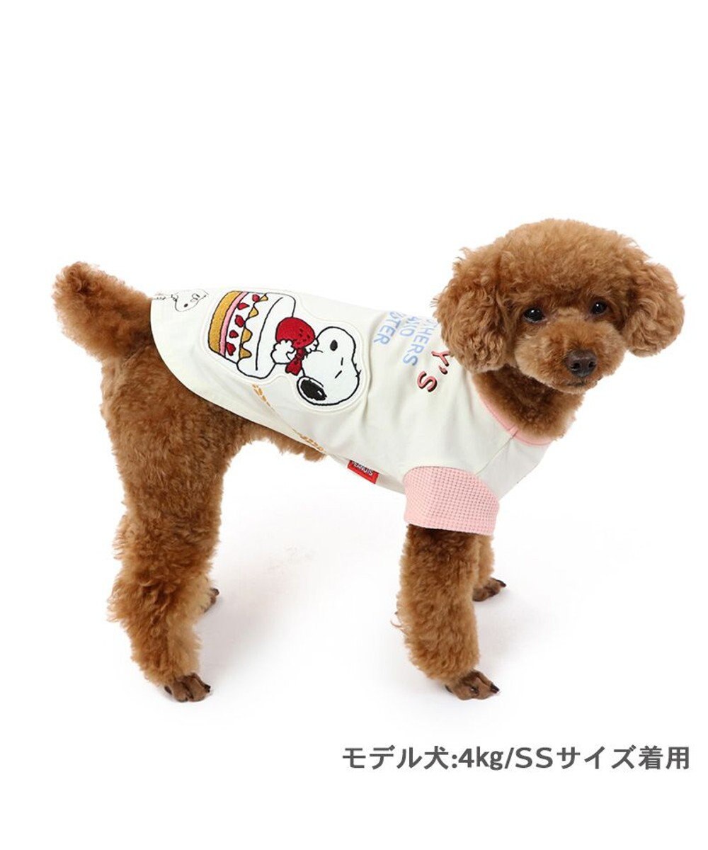 PET PARADISE スヌーピー バースデーＴシャツ 小型犬 