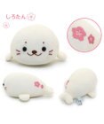 Mother garden しろたん ちりめん ちびマスコット 《しろたん/らっこいぬ》単品