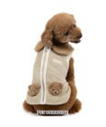 PET PARADISE ペットパラダイス くまちゃん 背中開き ジップ ベスト 小型犬